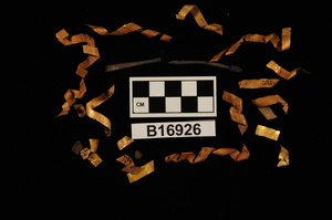 B16926
