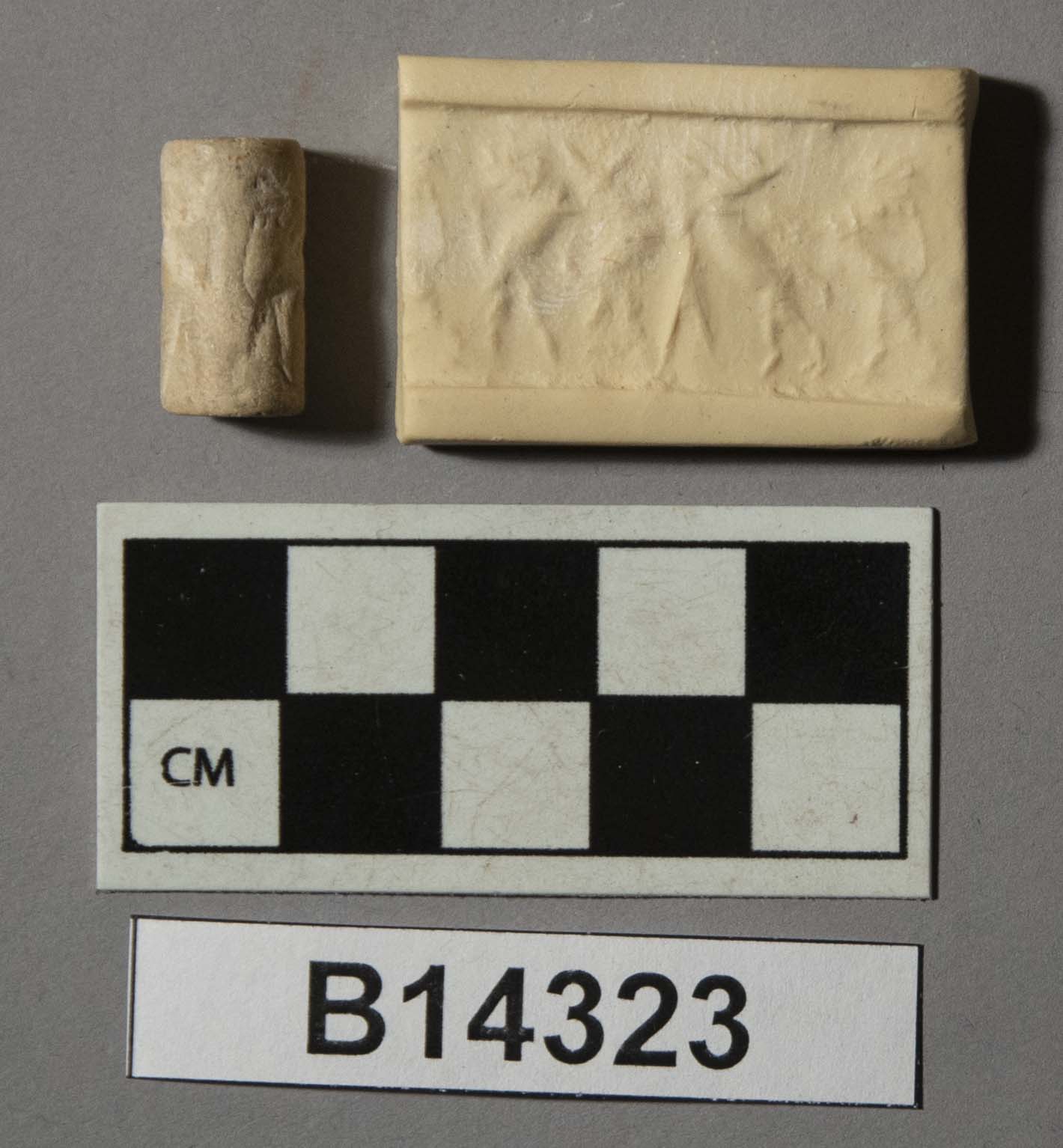 564341