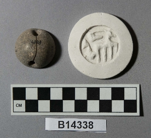 B14338