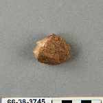 577606