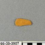 577991