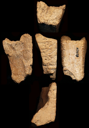 N5659