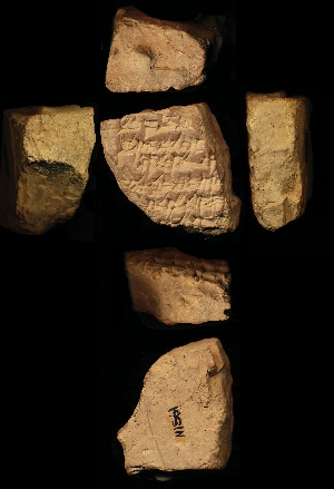 N1561