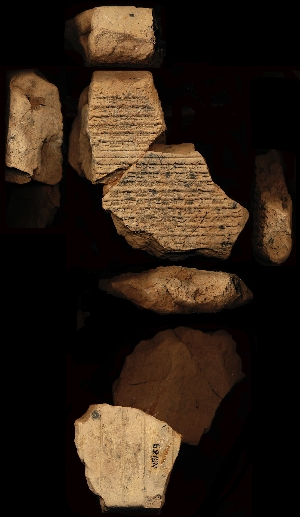N1929