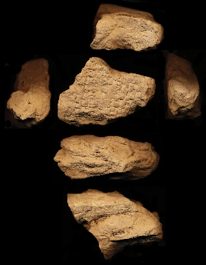 N2154