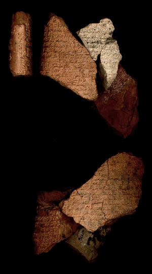 N1454