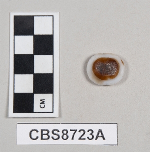 CBS8723A