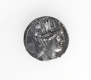 29-126-511