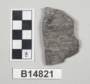 B14821