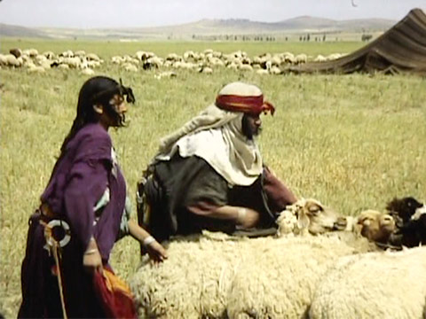 Tunisia 1967 Reel 30 of 52 thumbnail.