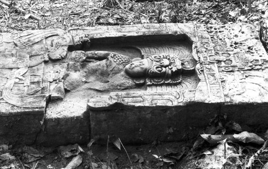 Stela 14.