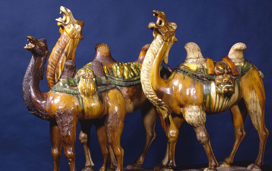 Camel figurines.
