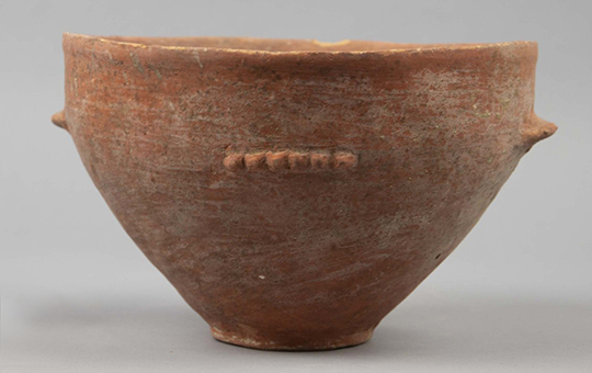 A terracotta bowl.