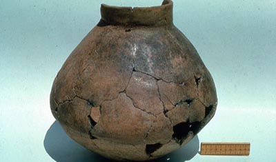 Wine Jar Artifact.